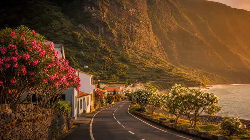 Quiet island town road lined with plumeria and low buildings below steep green cliffs, Kauai County Business License